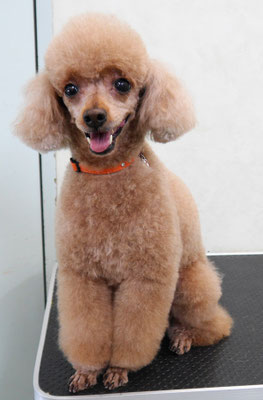 平松クーちゃん