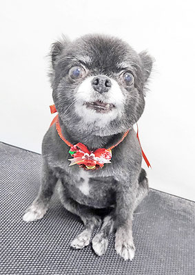 森崎シロちゃん