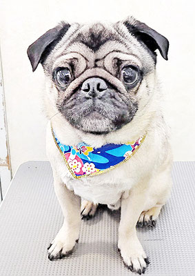 田邊ギンちゃん