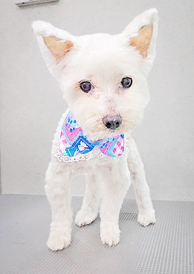 福元ミルクちゃん