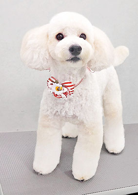 長谷ラナちゃん