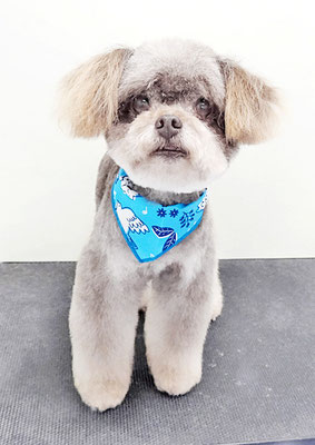 奥ちゃちゃまるちゃん