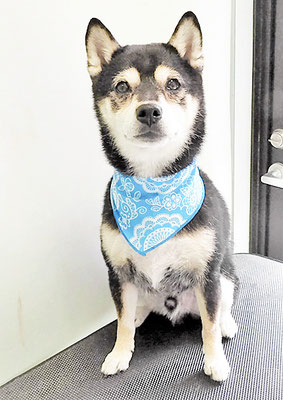 岩﨑レイちゃん