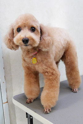 小野ハナちゃん