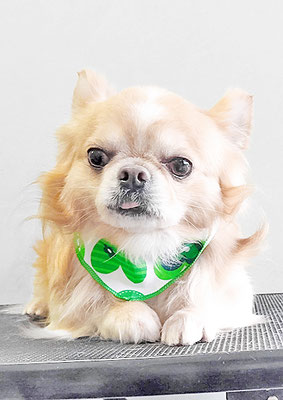 大山ココちゃん