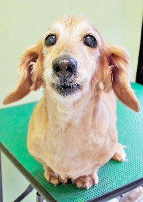 中山ジンちゃん