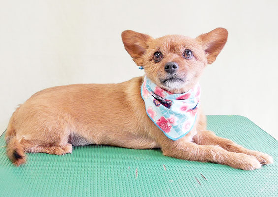 助村るぅちゃん