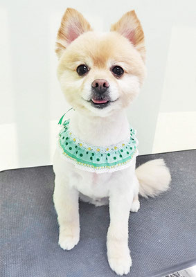 徳留クマちゃん