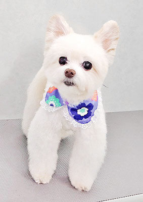 中村ココちゃん