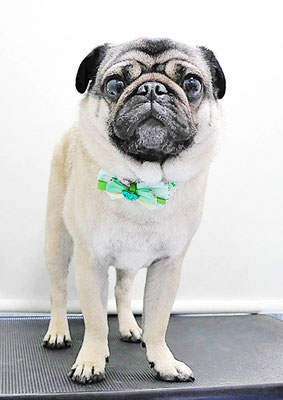 田邊ギンちゃん