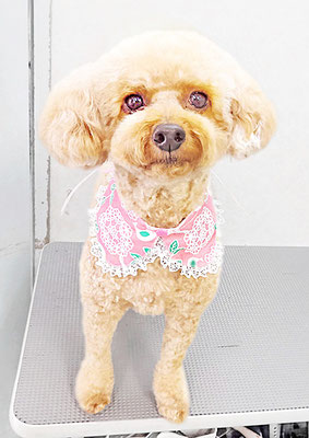 玉利ココちゃん