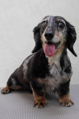 西山ユウちゃん