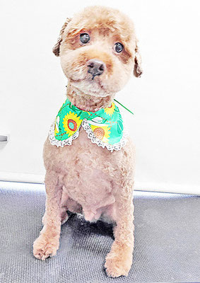 山元風介ちゃん