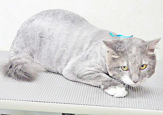 福重レオちゃん