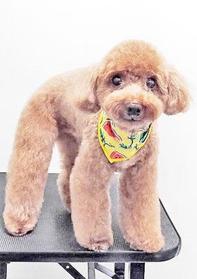 吉村弦之介ちゃん