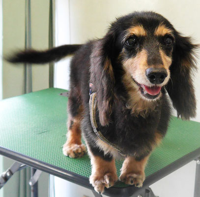 斉野平サンジちゃん