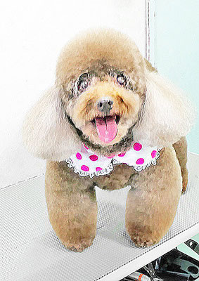 山口クレアちゃん