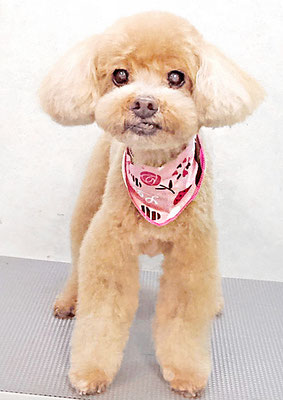 堀内まりもちゃん