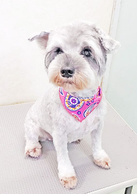 新田つむぎちゃん