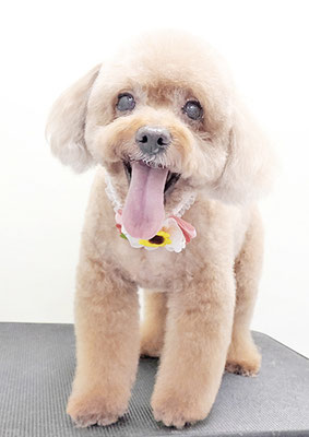 木口ももちゃん