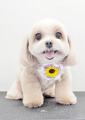 永濱サラちゃん