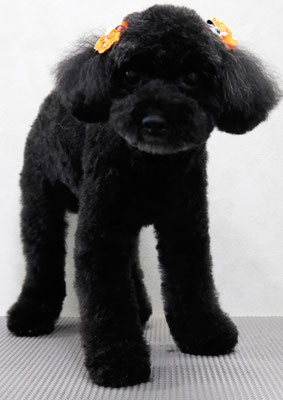 中井ヒナちゃん