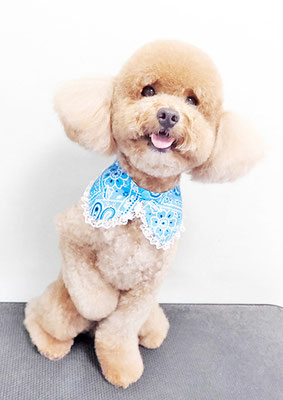 佐多ぶいちゃん