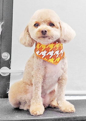 岩元ナノちゃん