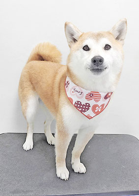 川﨑すももちゃん