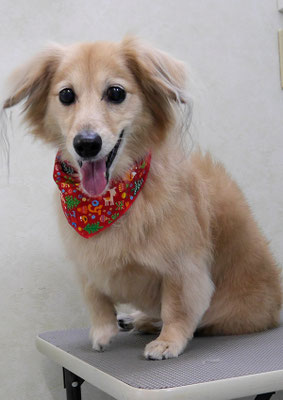 江口エルちゃん