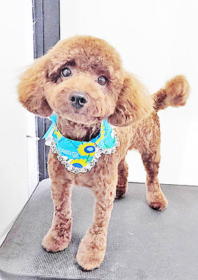 門之園るるちゃん