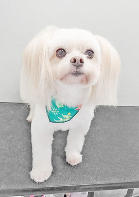 大脇ココアちゃん