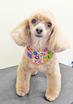 森崎ネネちゃん