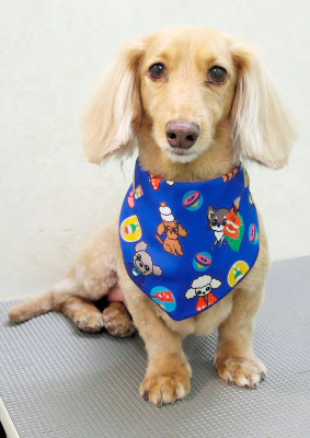 片山マルルちゃん