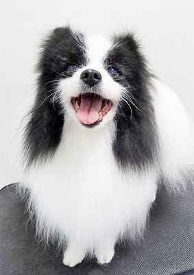 八木マリアンちゃん