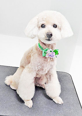 濵村小太郎ちゃん