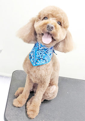 鶴虎太郎ちゃん