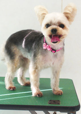 岡元ベリーちゃん