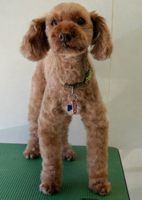 米澤ミントちゃん