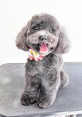 石田おはぎちゃん