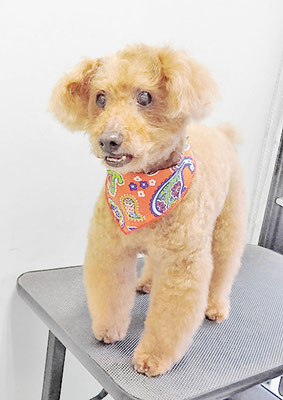 前田ソルファちゃん