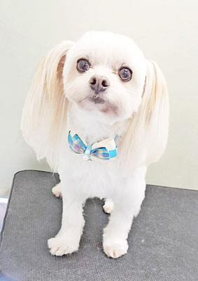 大脇ココアちゃん