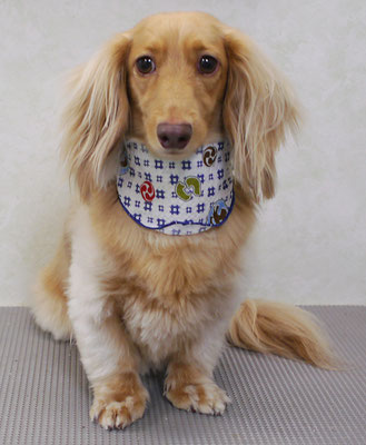 片山マルルちゃん