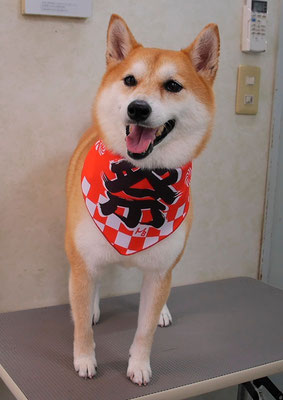 小村ゆずちゃん