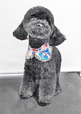 野口サニーちゃん