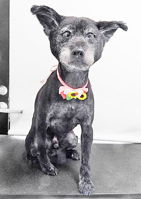 中田タロウちゃん