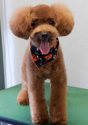 大堂レオちゃん