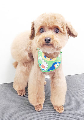 二見りくちゃん