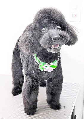 上村エイトちゃん