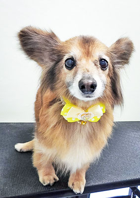 田島ベリちゃん